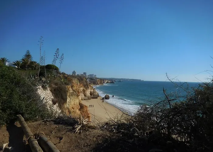 Casa Tres Palmeiras Отель типа 